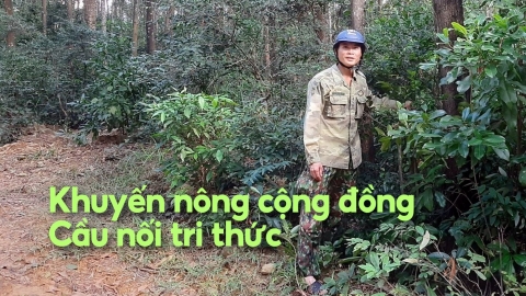 Không nói suông, cầm tay chỉ việc khắp nẻo rừng