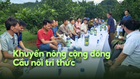 Điểm đến miễn phí, hiệu quả, tin cậy