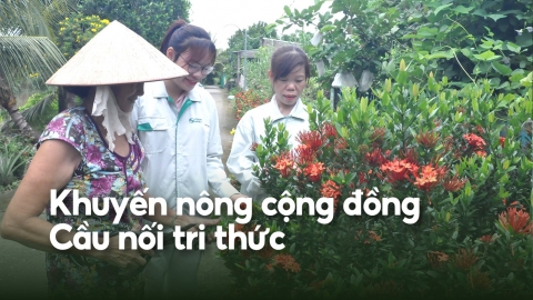 Dấu ấn hình thành nông thôn mới kiểu mẫu