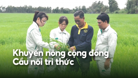 Một người làm việc bằng ba