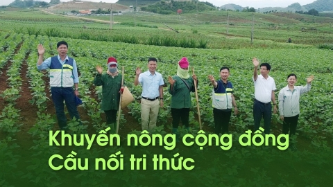 Vạn bước chân trên rẻo cao Tây Bắc