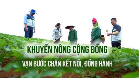 Khuyến nông cộng đồng - Vạn bước chân kết nối, đồng hành