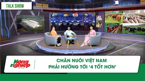 Chăn nuôi Việt Nam phải hướng tới 4 'tốt hơn’