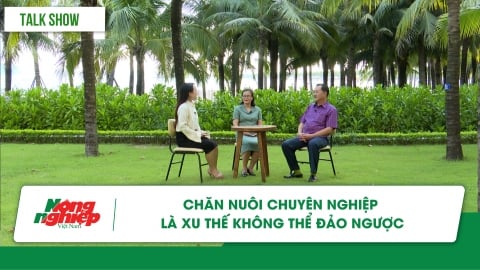 Chăn nuôi chuyên nghiệp là xu thế không thể đảo ngược