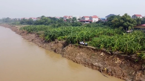 Sạt lở bờ sông Lô dài 700m, ăn sâu vào phía chân đê gần 30m