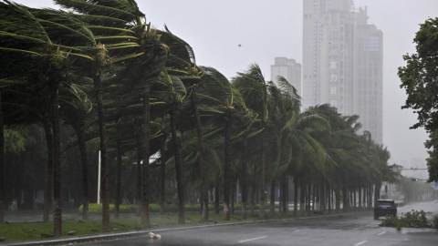 Trung Quốc: Bão Yagi khiến ít nhất 2 người thiệt mạng và 92 người bị thương