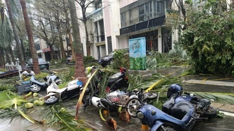 Bão Yagi tàn phá miền nam Trung Quốc: 4 người chết, 95 người bị thương