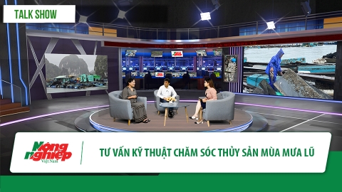 Tư vấn kỹ thuật chăm sóc thủy sản mùa mưa lũ