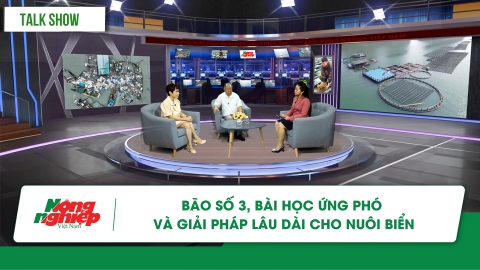 Bài học ứng phó và giải pháp lâu dài cho nuôi biển sau tàn phá của bão số 3