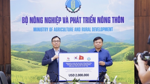 Tiếp nhận 2 triệu USD viện trợ của Hàn Quốc khắc phục hậu quả bão lũ