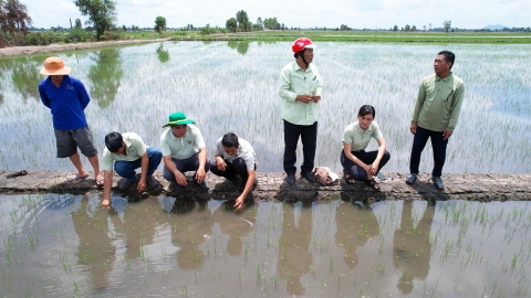 Tổ Khuyến nông cộng đồng, cánh tay đắc lực của ngành nông nghiệp