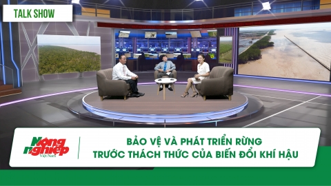 Bảo vệ ‘lá phổi xanh’ trên 73.000ha rừng phòng hộ ven biển ĐBSCL, bằng cách nào?