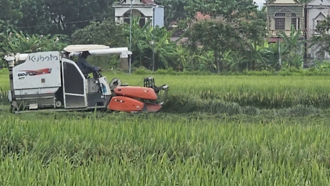 Ngành nông nghiệp Thanh Hóa chạy 'nước rút' dịp cuối năm