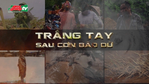 Trắng tay sau bão dữ, lời hiệu triệu toàn ngành Nông nghiệp khôi phục sản xuất