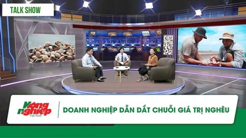 Doanh nghiệp dẫn dắt chuỗi giá trị nghêu