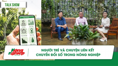 Người trẻ và chuyện liên kết, chuyển đổi số trong nông nghiệp