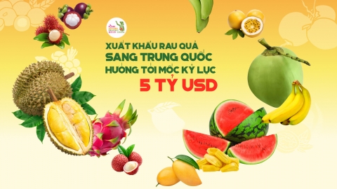 Xuất khẩu rau quả sang Trung Quốc hướng tới mốc kỷ lục 5 tỷ USD