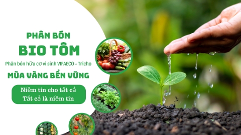 Bio Tôm: Phân bón từ tôm, giải pháp dinh dưỡng tối ưu