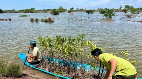 Trà Vinh: Công tác trồng và bảo vệ rừng lan tỏa trong cộng đồng