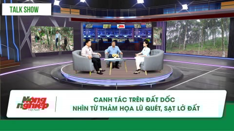 Canh tác trên đất dốc - nhìn từ thảm họa lũ quét, sạt lở đất