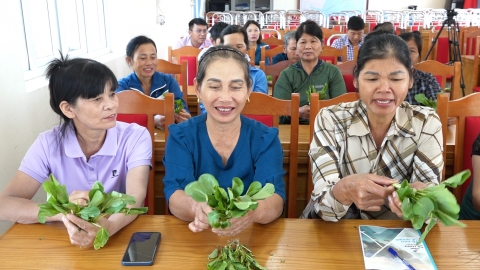 Áp dụng IPM giúp nông dân tăng lợi nhuận tiền triệu mỗi hecta