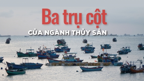 Ba trụ cột của ngành thủy sản