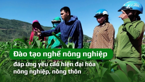 Đào tạo nghề nông nghiệp đáp ứng yêu cầu hiện đại hóa nông nghiệp, nông thôn