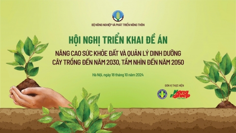 Triển khai Đề án Nâng cao sức khỏe đất và quản lý dinh dưỡng cây trồng