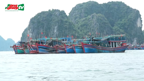 Chủ động ứng phó với biển động do bão Trà Mi