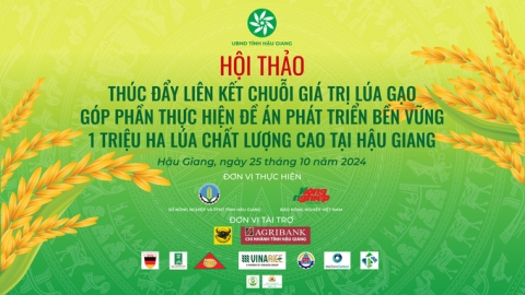 Thúc đẩy liên kết chuỗi giá trị gạo chất lượng cao, phát thải thấp