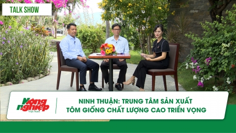 Ninh Thuận: Trung tâm sản xuất tôm giống chất lượng cao triển vọng