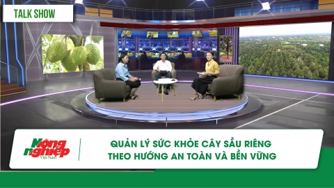 Kiểm soát những 'mối nguy', tạo vùng trồng sầu riêng bền vững