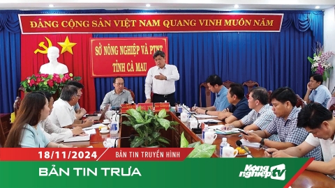 Cà Mau cần triển khai các mô hình sản xuất lúa phát thải thấp