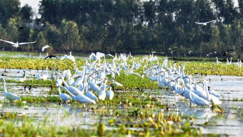 Improving the lives of people in the buffer zone of Lang Sen Wetland Reserve