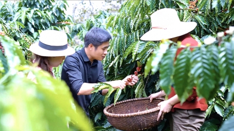 Owner of Enjoy Coffee collaborates with local farmers for organic coffee production