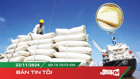 Việt Nam xuất khẩu gần 7,8 triệu tấn gạo trong 10 tháng