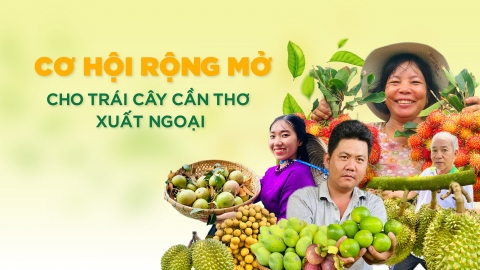 Cơ hội rộng mở cho trái cây Cần Thơ xuất ngoại