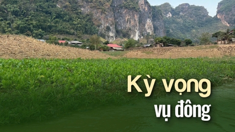 Gượng dậy Phiêng Nghè