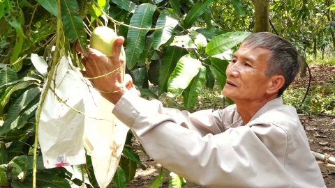 Biến không gian nông thôn thành điểm du lịch nông nghiệp hấp dẫn