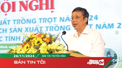 Các tỉnh phía Bắc phấn đấu gieo trồng 2,2 triệu ha lúa năm 2025