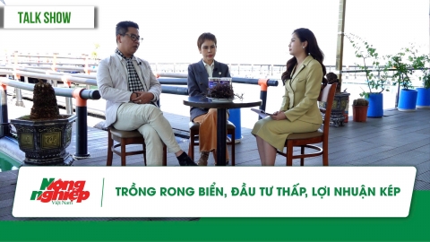 Trồng rong biển, đầu tư thấp, lợi nhuận kép