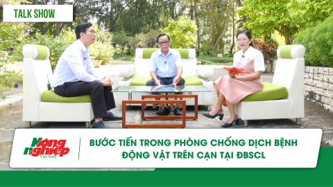 Bước tiến trong phòng, chống dịch bệnh động vật trên cạn tại ĐBSCL