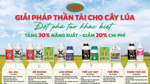 VINCO cung cấp bộ giải pháp 'thần tài' cho người trồng lúa