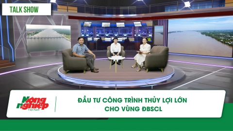 Đầu tư công trình thủy lợi lớn cho vùng ĐBSCL