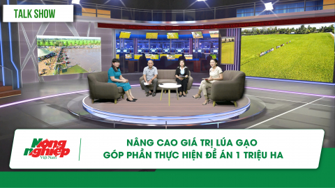 Nâng cao giá trị lúa gạo, góp phần thực hiện Đề án 1 triệu ha