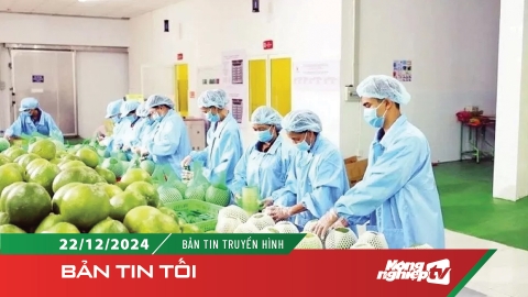 1.029 thông báo về an toàn thực phẩm liên quan đến Việt Nam năm 2024