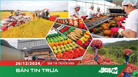 Lĩnh vực trồng trọt đặt mục tiêu tăng trưởng 2,2% năm 2025