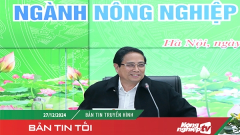 Thủ tướng cảm ơn ngành nông nghiệp vì những thành tích nổi bật năm 2024