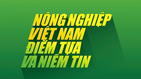 Phim 'Nông nghiệp Việt Nam: Điểm tựa và niềm tin'