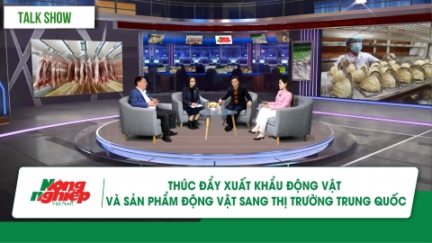 Thúc đẩy xuất khẩu động vật và sản phẩm động vật sang thị trường Trung Quốc